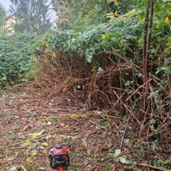 J&S Facility Service - Gartenarbeiten - Winterdienst - Hausmeisterdienste